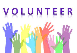 Volunteer with a Charity